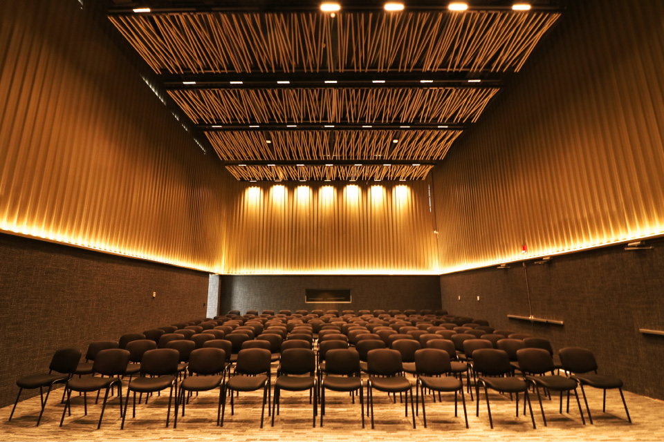 Auditorio, interior (2019)