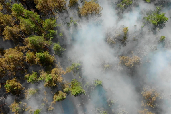 Las nubes de humo que devastan la Amazonía