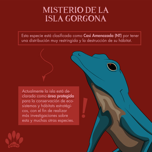 Ilustración del lagarto azul - parte 3