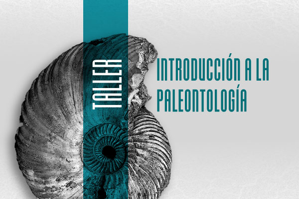Taller de introducción a la paleontología