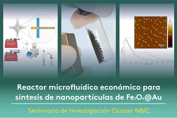 Seminario Clúster NBIC: Reactor microfluído económico para síntesis de nanopartículas