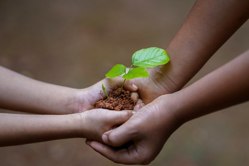 Cinco recomendaciones para preservar el medio ambiente