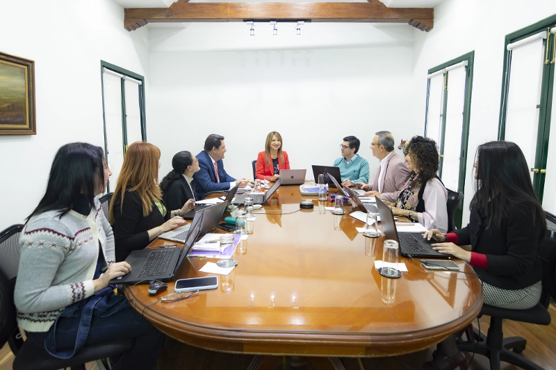 Los órganos colegiados de la Universidad Central son: