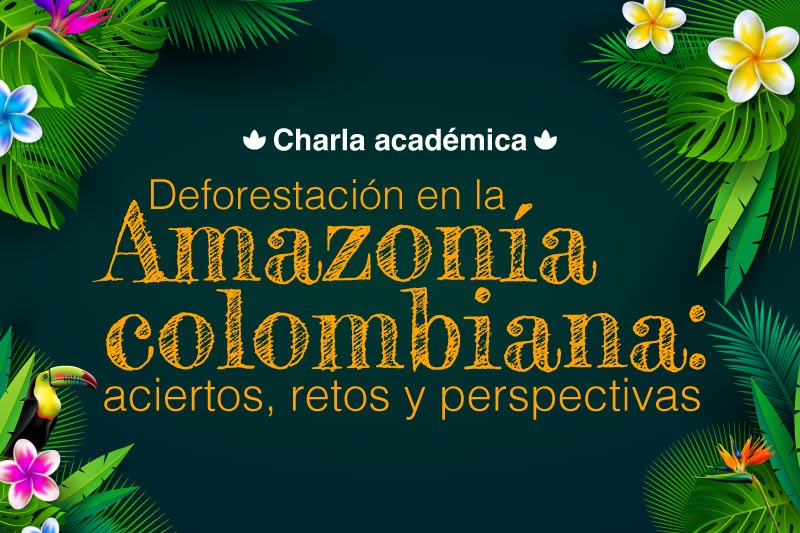 Deforestación en la Amazonía colombiana: aciertos, retos y perspectivas