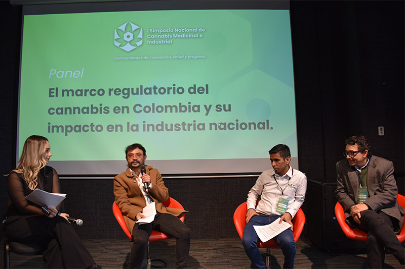 Productos derivados del cannabis: innovación más allá de lo medicinal