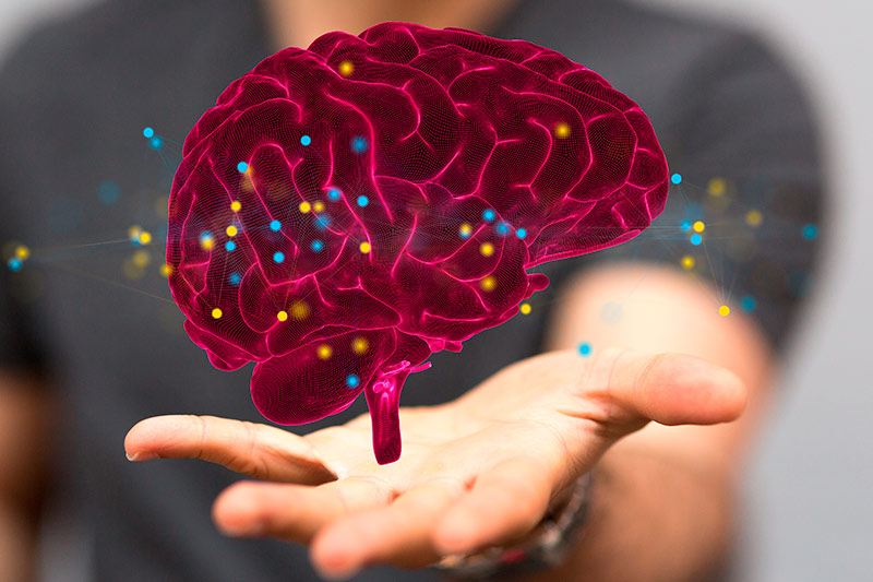 Estudiantes neurodivergentes: enseñar para una educación diversa