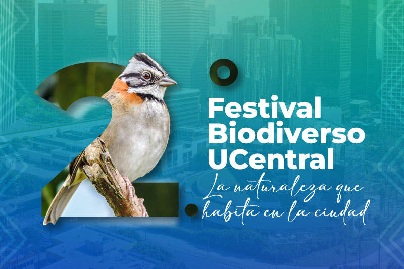 2.º Festival Biodiverso UCentral