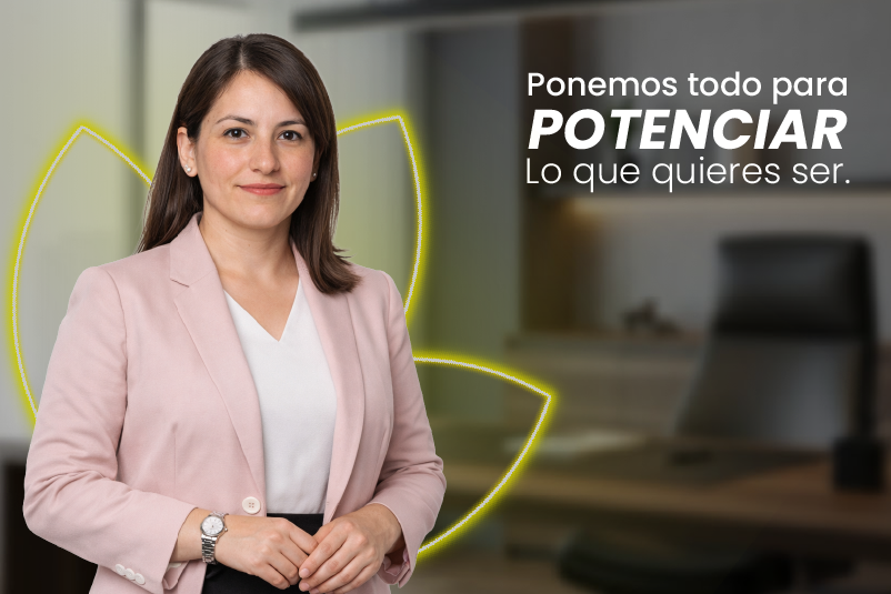 Maestría en Gerencia de Proyectos (Virtual)