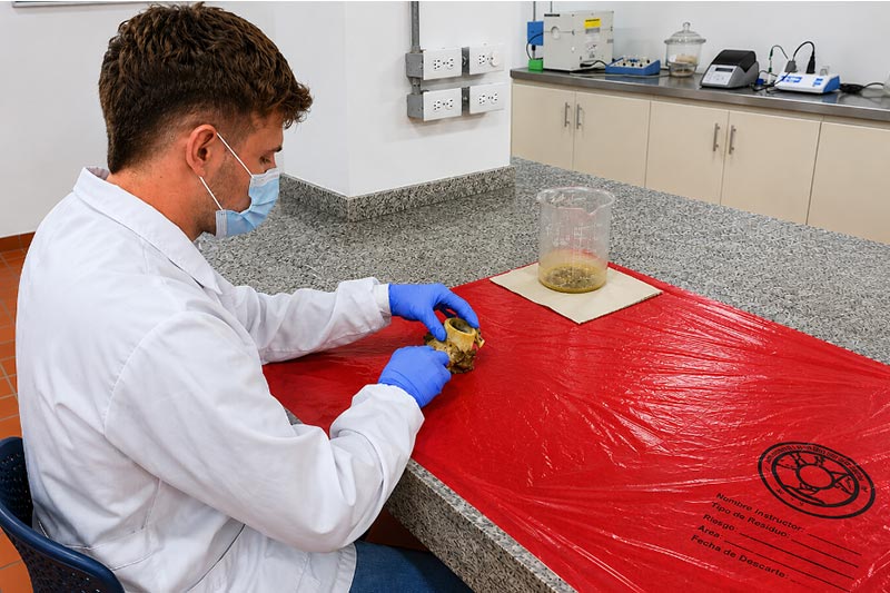Universidad Central impulsa investigación sobre ingeniería biomédica