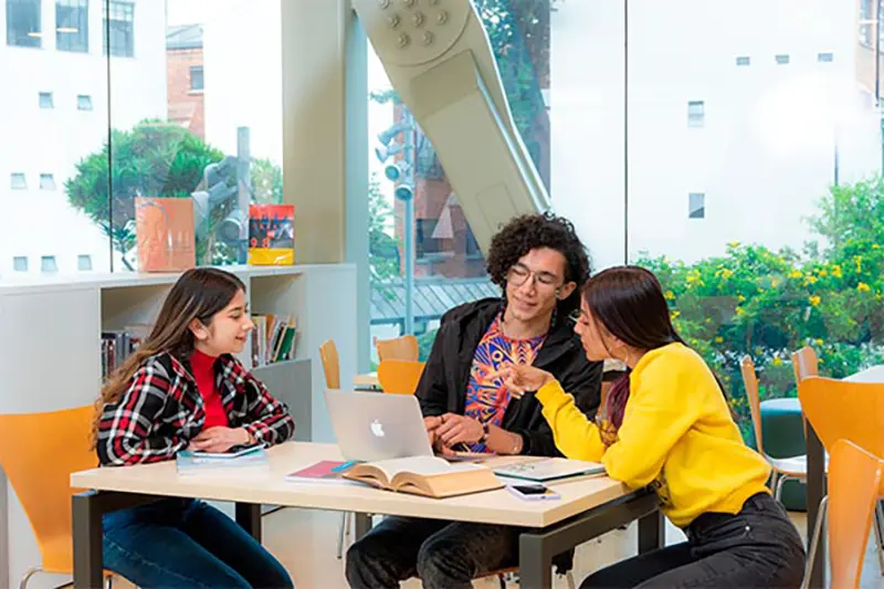 Las Normas APA se convierten en un dolor de cabeza para muchos estudiantes y docentes.