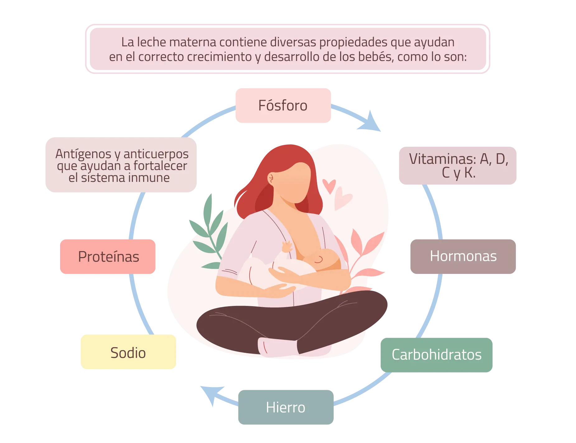 Propiedades de leche materna