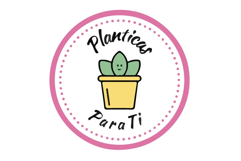 Planticas para ti