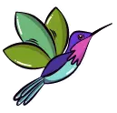 Colibrí Universidad Central