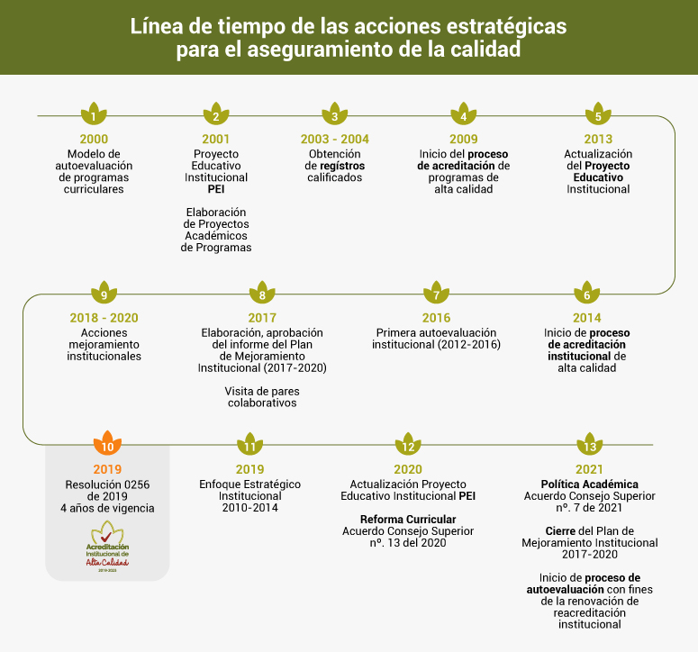 Acciones estratégicas para el aseguramiento de la calidad: