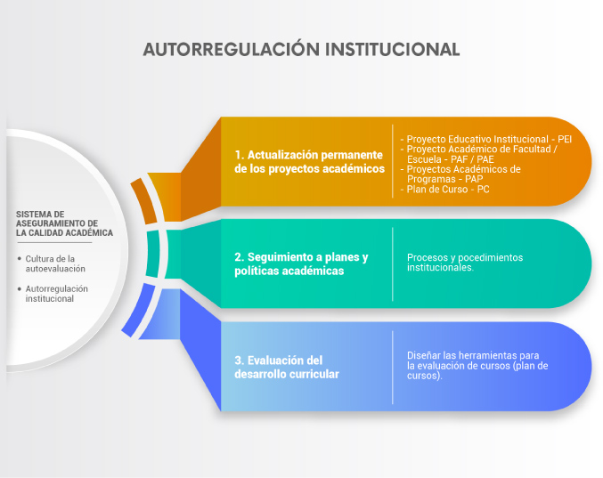Autorregulación institucional: