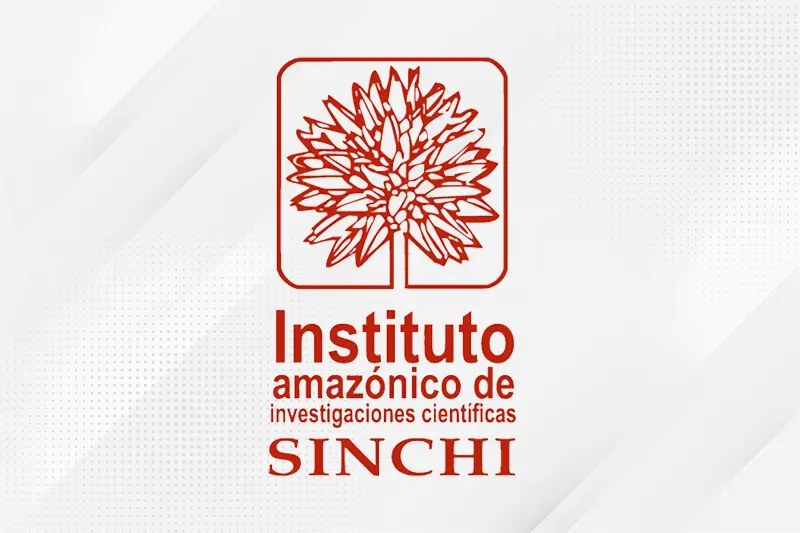 Sinchi