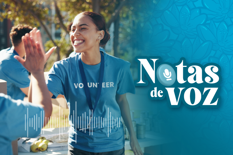 Notas de voz - universidad en el territorio