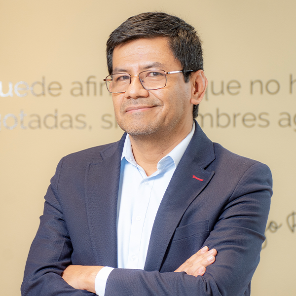 Director de área