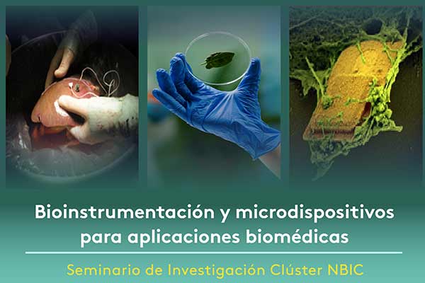 Seminario de Investigación Clúster NBIC: "Bioinstrumentación y microdispositivos para aplicaciones biomédicas