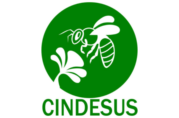 Emprendimiento centralista - Cindesus