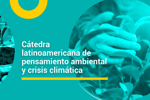 Cátedra latinoamericana de pensamiento ambiental y crisis climática