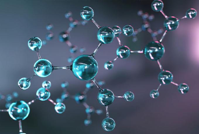 La biología molecular y sus aplicaciones