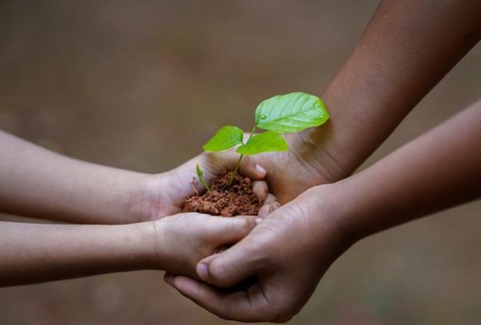 Cinco recomendaciones para preservar el medio ambiente