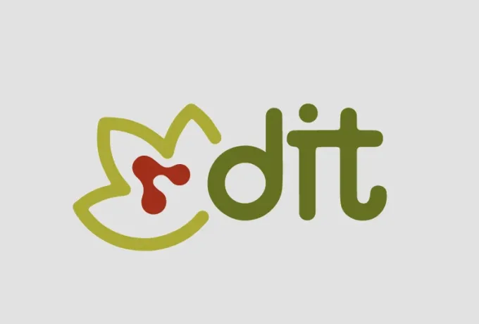 Unidad de Desarrollo, Innovación y Transferencia (DIT)