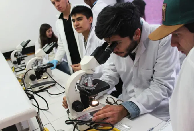 Semilleros de Investigación