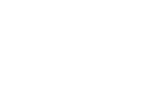 logo-master-central