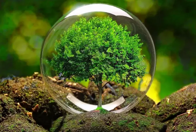 Asesoría y consultoría en el área de gestión ambiental