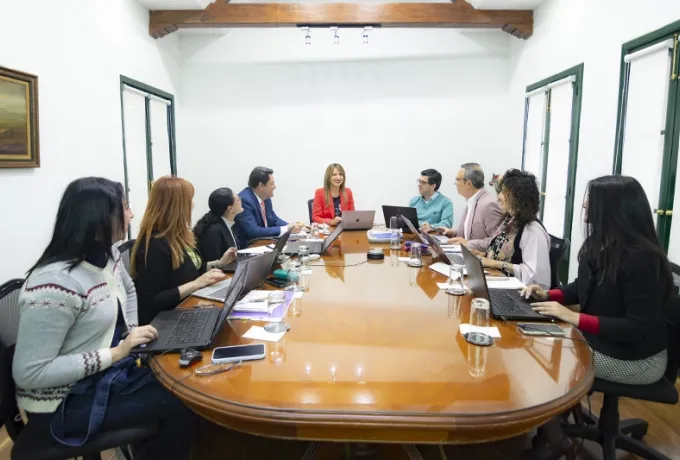 Órganos colegiados y comités