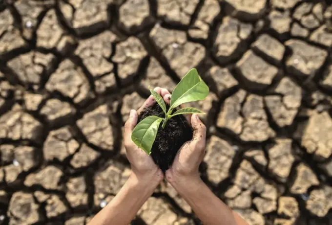 UCentral se suma al llamado global contra la sequía y desertificación